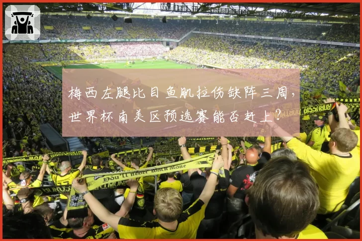 梅西左腿比目鱼肌拉伤缺阵三周，世界杯南美区预选赛能否赶上？