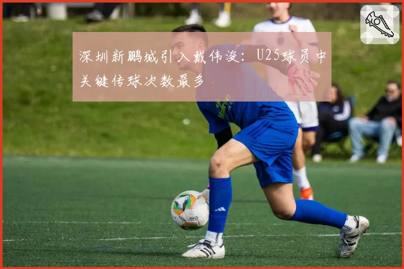 深圳新鹏城引入戴伟浚：U25球员中关键传球次数最多